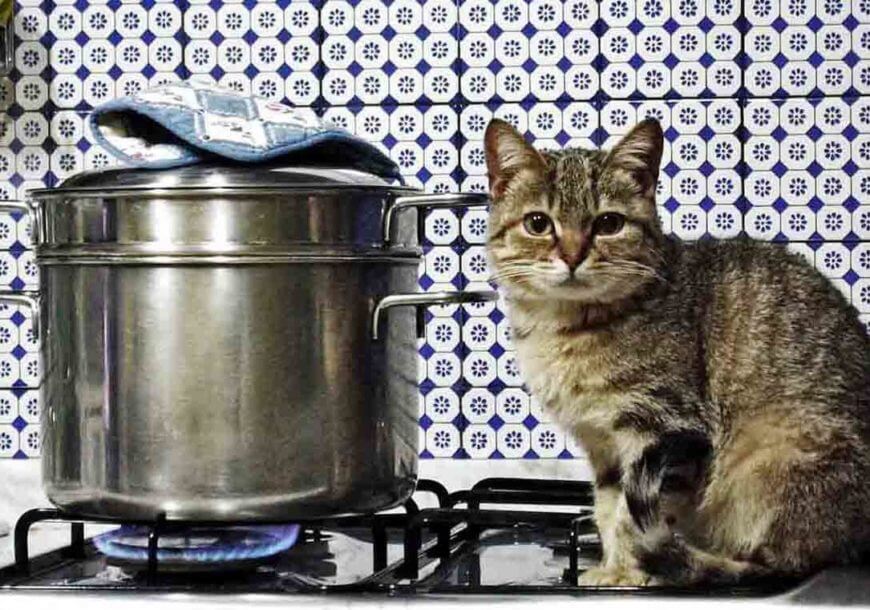 Вещи, от которых необходимо избавиться как можно скорее