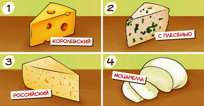 Все, что нужно знать о сырах!