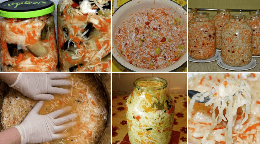 Вкусная капуста на зиму: квашеная и маринованная капуста, салаты из капусты