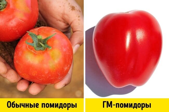 гмо