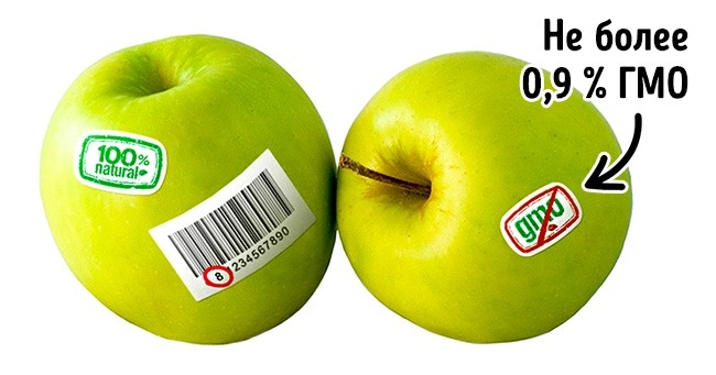 гмо