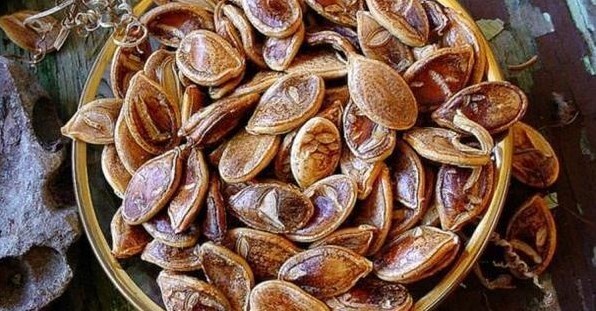 семечки тыквы