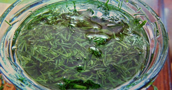 Как приготовить необычное полезное зеленое масло