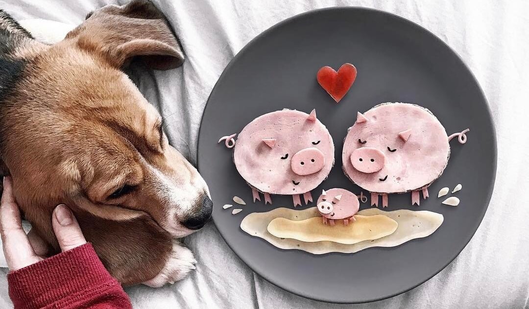 Художница создает необычные картины из еды. Своими шедеврами она покорила уже весь мир!