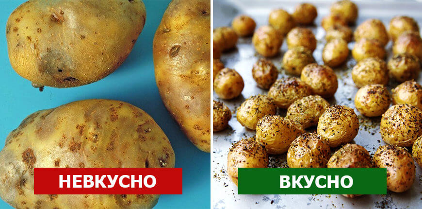 Полезно знать: Как правильно покупать молодую картошку