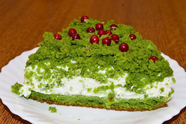 Польский торт Лесной Мох: необычный и нежный!