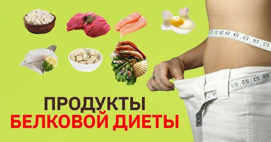 Белковая Диета Рецепты Блюд С Фото