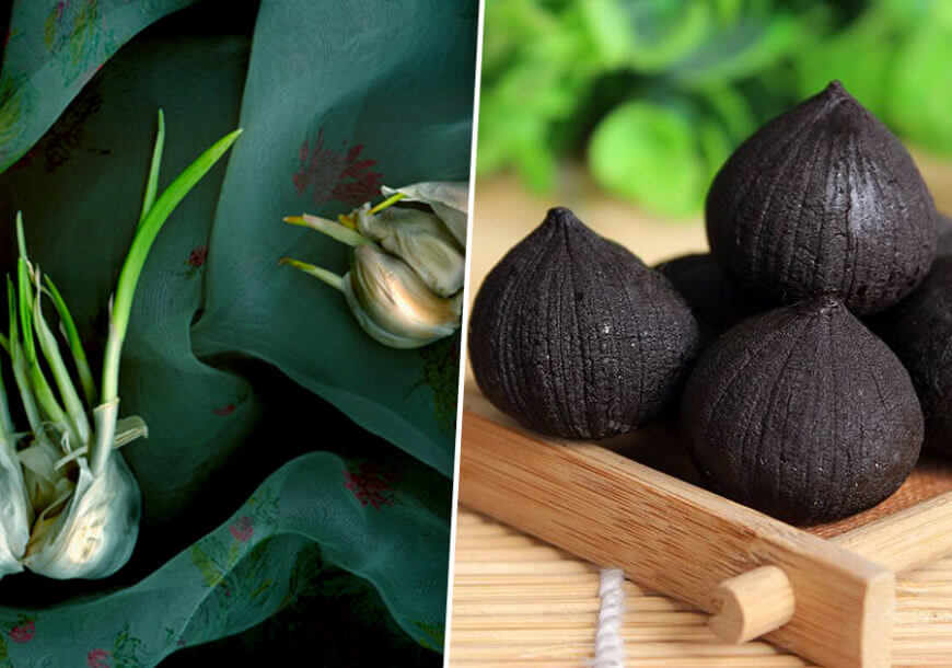 Пророщенный чеснок польза или вред Пророщенный чеснок польза или вред thumbnail