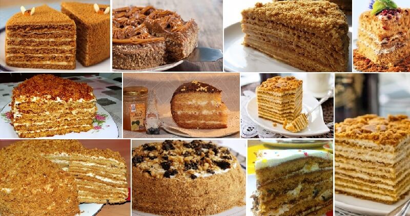 Вкусные и простые рецепты торта «Медовик». Подборка на все случаи жизни!