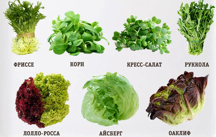 Листовой салат по-гречески