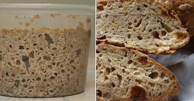 Ржаная закваска для хлеба в домашних условиях